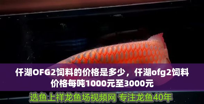 仟湖OFG2飼料的價(jià)格是多少，仟湖ofg2飼料價(jià)格每噸1000元至3000元