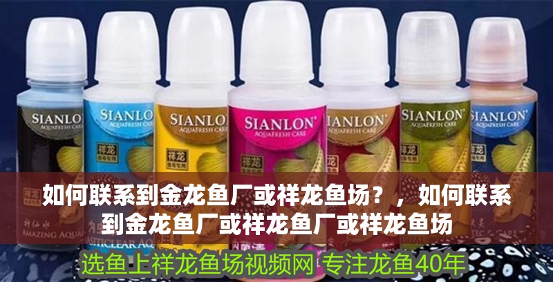 如何聯(lián)系到金龍魚廠或祥龍魚場？，如何聯(lián)系到金龍魚廠或祥龍魚廠或祥龍魚場