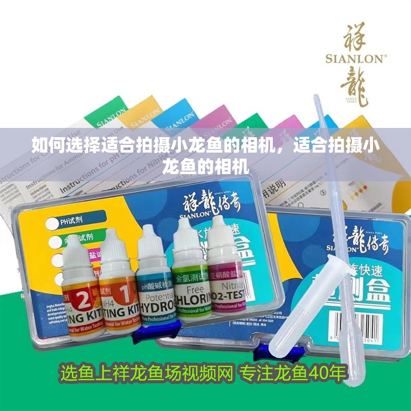 如何選擇適合拍攝小龍魚的相機，適合拍攝小龍魚的相機