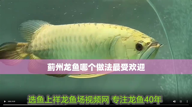 薊州龍魚哪個做法最受歡迎