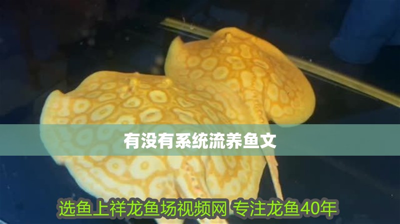 有沒有系統流養魚文