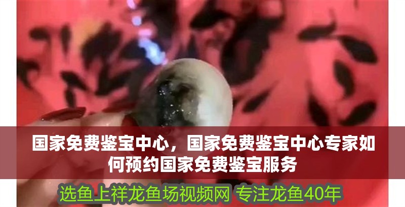 國家免費鑒寶中心，國家免費鑒寶中心專家如何預(yù)約國家免費鑒寶服務(wù)