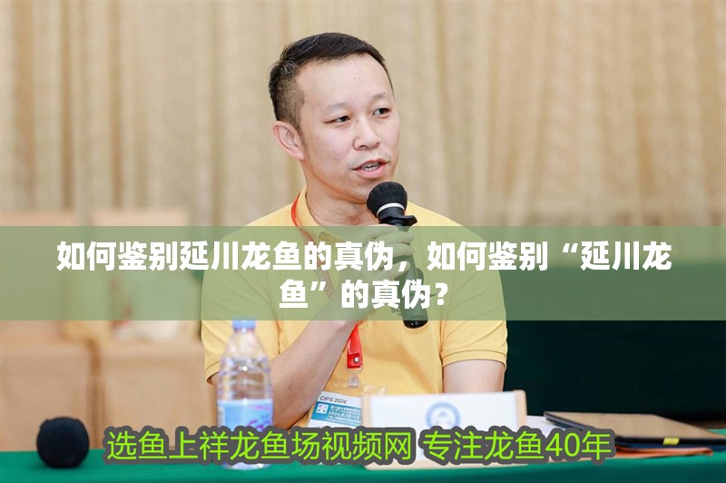 如何鑒別延川龍魚的真偽，如何鑒別“延川龍魚”的真偽？