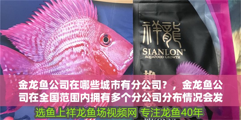 金龍魚公司在哪些城市有分公司？，金龍魚公司在全國范圍內擁有多個分公司分布情況會發生變化