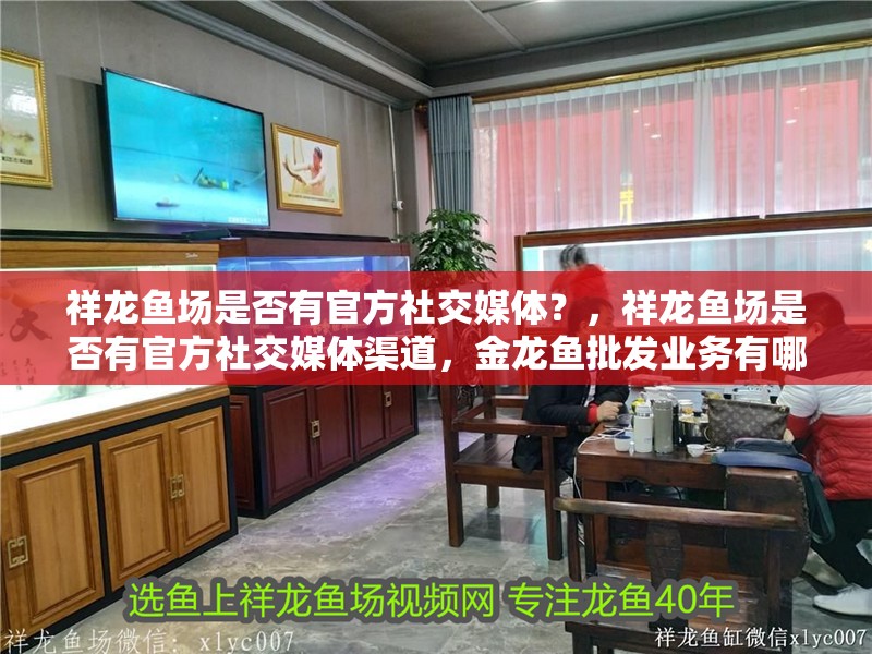 祥龍魚場是否有官方社交媒體？，祥龍魚場是否有官方社交媒體渠道，金龍魚批發業務有哪些流程
