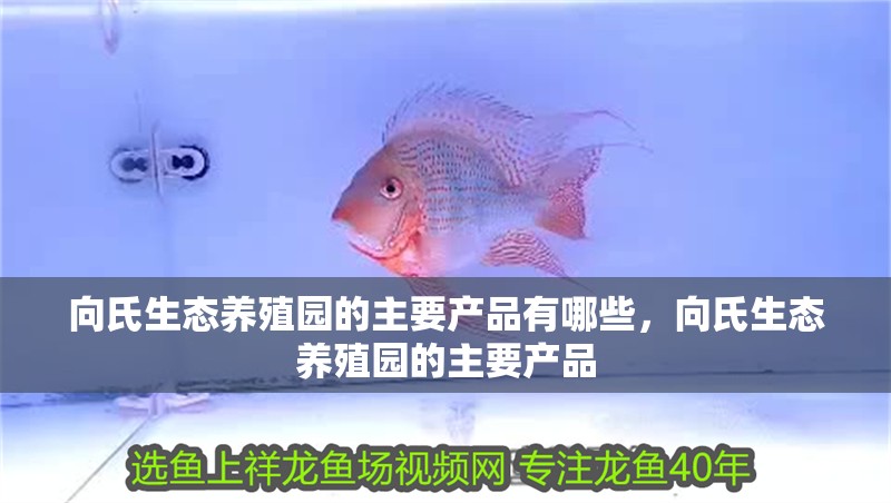 向氏生態養殖園的主要產品有哪些，向氏生態養殖園的主要產品