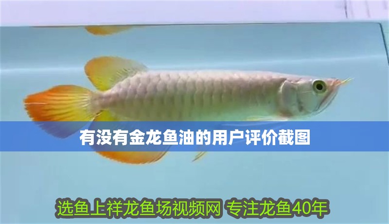 有沒有金龍魚油的用戶評價截圖
