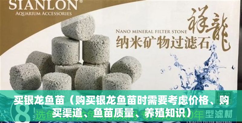 買銀龍魚苗（購買銀龍魚苗時需要考慮價格、購買渠道、魚苗質量、養殖知識）