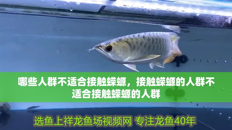 哪些人群不適合接觸蠑螈，接觸蠑螈的人群不適合接觸蠑螈的人群