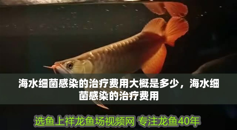 海水細菌感染的治療費用大概是多少，海水細菌感染的治療費用