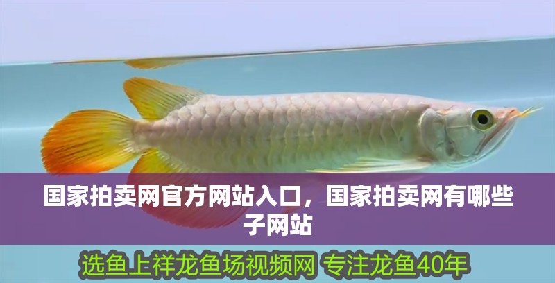 國家拍賣網官方網站入口，國家拍賣網有哪些子網站