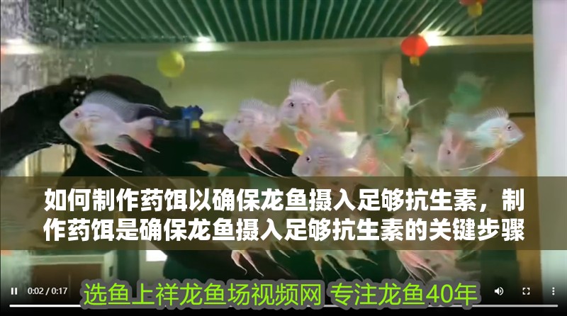 如何制作藥餌以確保龍魚攝入足夠抗生素，制作藥餌是確保龍魚攝入足夠抗生素的關鍵步驟需要選擇適合龍魚的抗生素