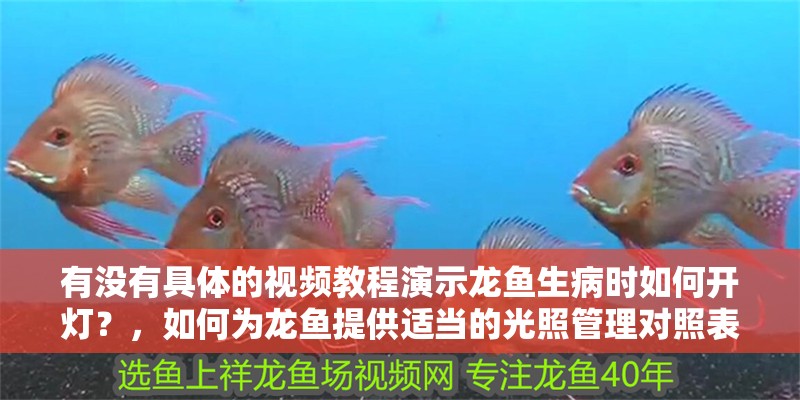 有沒有具體的視頻教程演示龍魚生病時如何開燈？，如何為龍魚提供適當的光照管理對照表，龍魚生病時如何開燈