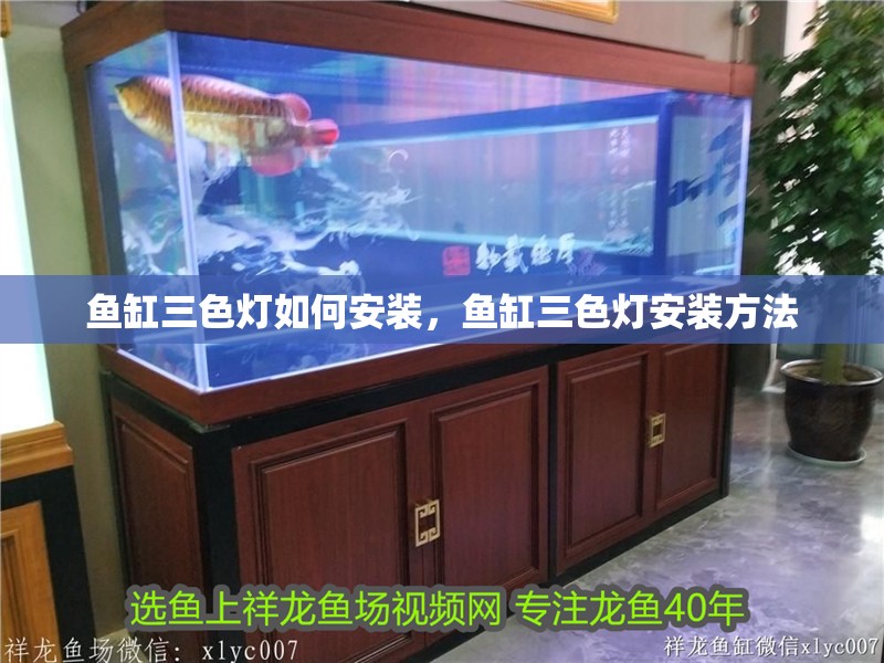 魚缸三色燈如何安裝，魚缸三色燈安裝方法