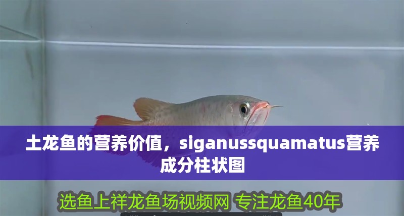 土龍魚的營養價值，siganussquamatus營養成分柱狀圖