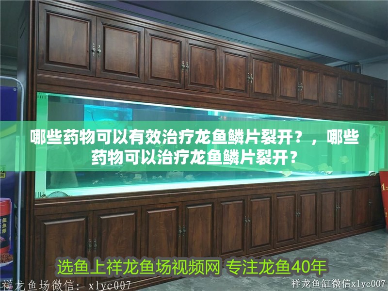 哪些藥物可以有效治療龍魚鱗片裂開？，哪些藥物可以治療龍魚鱗片裂開？