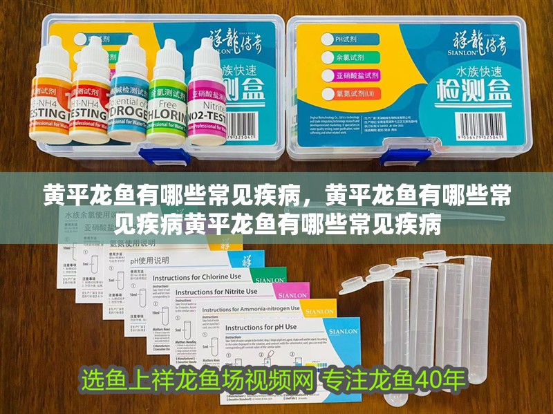 黃平龍魚有哪些常見疾病，黃平龍魚有哪些常見疾病黃平龍魚有哪些常見疾病