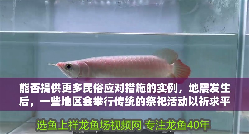 能否提供更多民俗應(yīng)對(duì)措施的實(shí)例，地震發(fā)生后，一些地區(qū)會(huì)舉行傳統(tǒng)的祭祀活動(dòng)以祈求平安