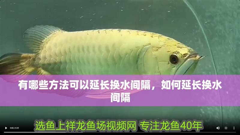 有哪些方法可以延長換水間隔，如何延長換水間隔