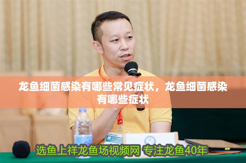 龍魚細菌感染有哪些常見癥狀，龍魚細菌感染有哪些癥狀