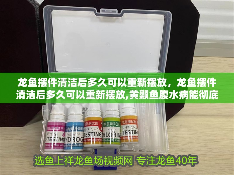 龍魚擺件清潔后多久可以重新擺放，龍魚擺件清潔后多久可以重新擺放,黃顙魚腹水病能徹底治愈嗎?