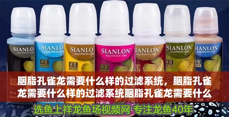 胭脂孔雀龍需要什么樣的過濾系統，胭脂孔雀龍需要什么樣的過濾系統胭脂孔雀龍需要什么樣的過濾系統