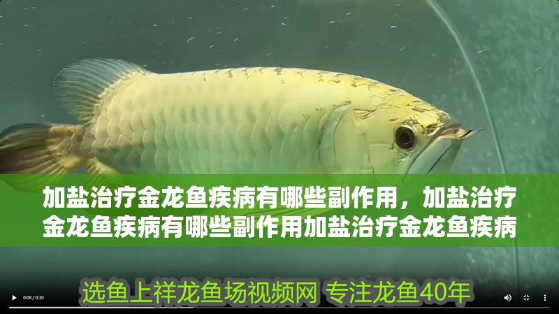 加鹽治療金龍魚疾病有哪些副作用，加鹽治療金龍魚疾病有哪些副作用加鹽治療金龍魚疾病有哪些副作用