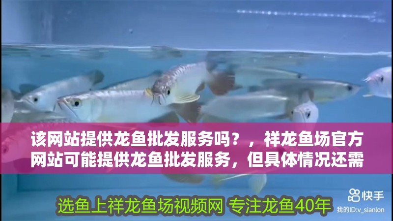 該網站提供龍魚批發服務嗎？，祥龍魚場官方網站可能提供龍魚批發服務，但具體情況還需進一步了解