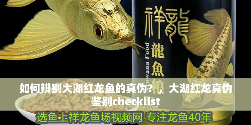 如何辨別大湖紅龍魚的真偽？，大湖紅龍真偽鑒別checklist
