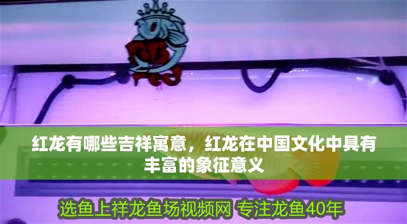 紅龍有哪些吉祥寓意，紅龍在中國文化中具有豐富的象征意義