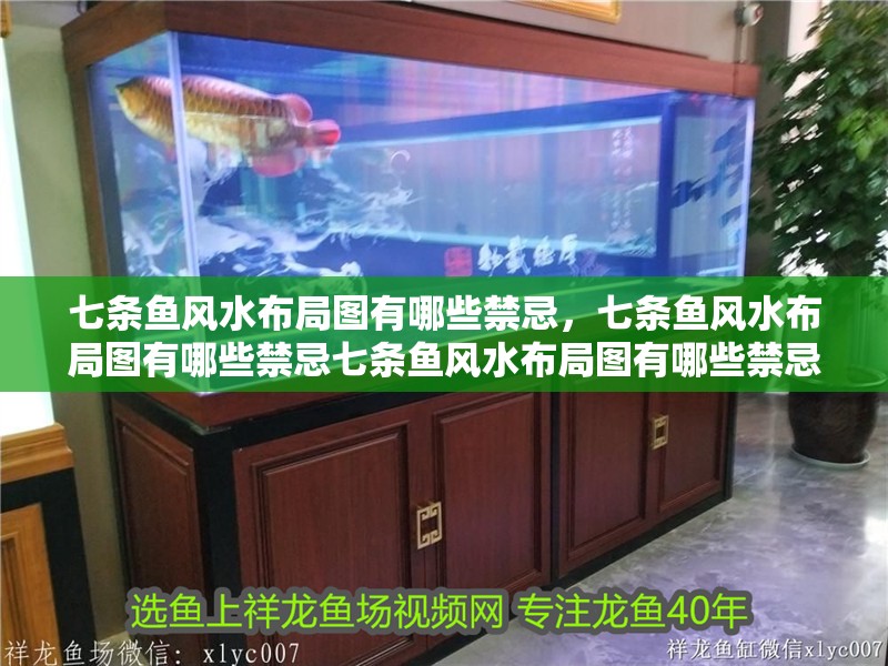 七條魚風水布局圖有哪些禁忌，七條魚風水布局圖有哪些禁忌七條魚風水布局圖有哪些禁忌