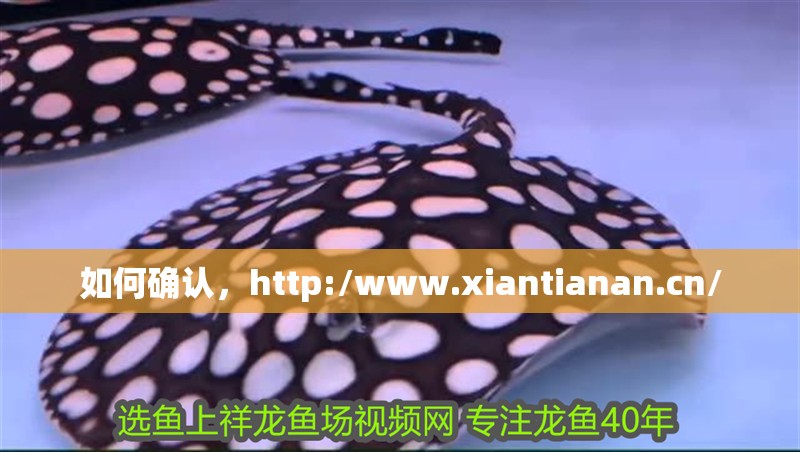 如何確認(rèn)，http:/m.lwhy5.com/