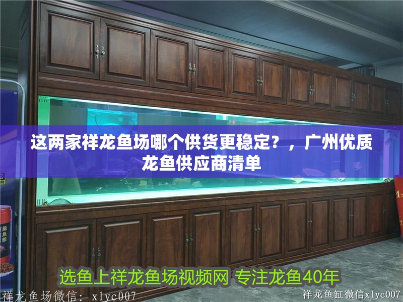 這兩家祥龍魚場哪個供貨更穩定？，廣州優質龍魚供應商清單