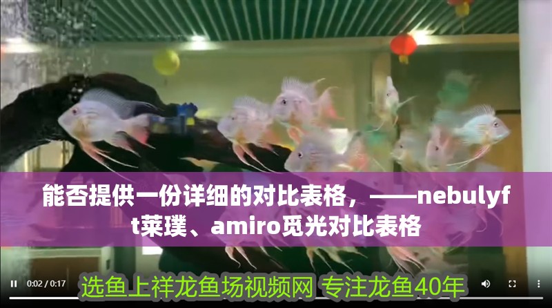 能否提供一份詳細的對比表格，——nebulyft萊璞、amiro覓光對比表格