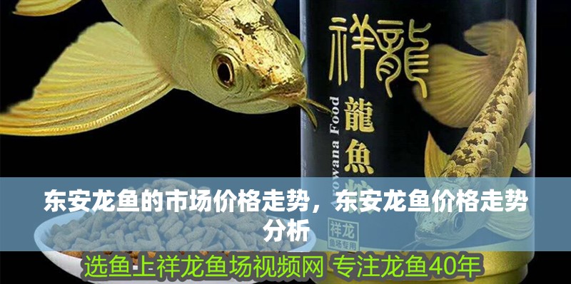 東安龍魚的市場價格走勢，東安龍魚價格走勢分析