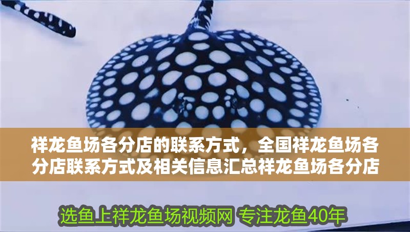 祥龍魚場各分店的聯(lián)系方式，全國祥龍魚場各分店聯(lián)系方式及相關(guān)信息匯總祥龍魚場各分店聯(lián)系方式