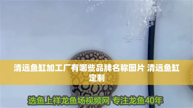 清遠魚缸加工廠有哪些品牌名稱圖片 清遠魚缸定制