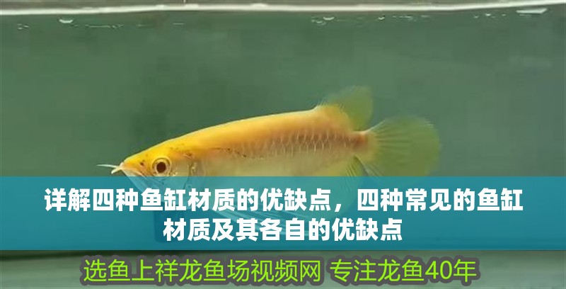 詳解四種魚缸材質的優缺點，四種常見的魚缸材質及其各自的優缺點