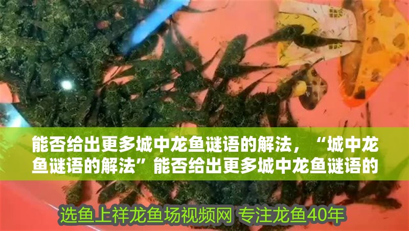 能否給出更多城中龍魚謎語的解法，“城中龍魚謎語的解法”能否給出更多城中龍魚謎語的解法？