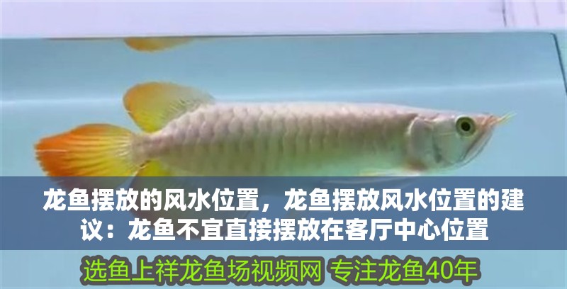龍魚擺放的風水位置，龍魚擺放風水位置的建議：龍魚不宜直接擺放在客廳中心位置