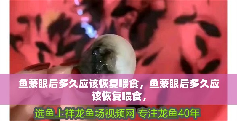 魚蒙眼后多久應該恢復喂食，魚蒙眼后多久應該恢復喂食，