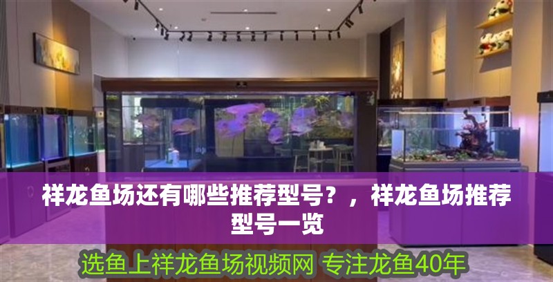 祥龍魚場還有哪些推薦型號？，祥龍魚場推薦型號一覽