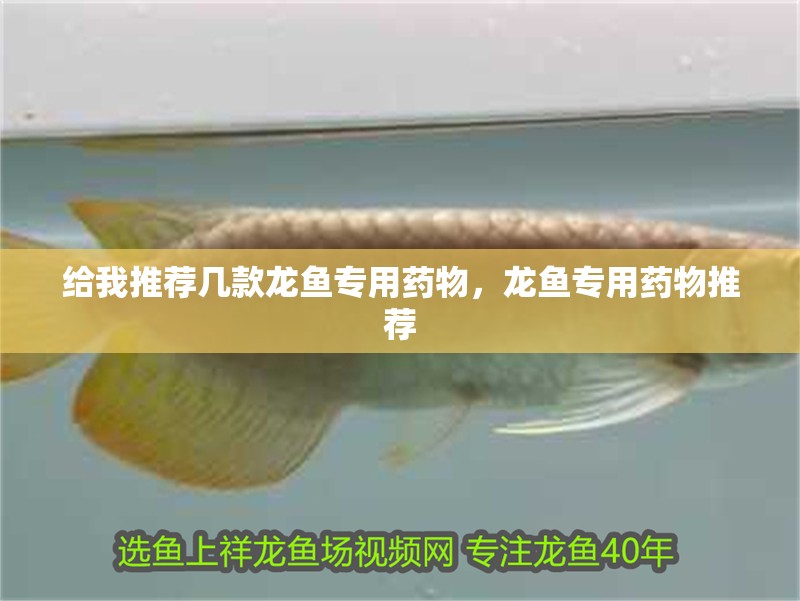 給我推薦幾款龍魚專用藥物，龍魚專用藥物推薦