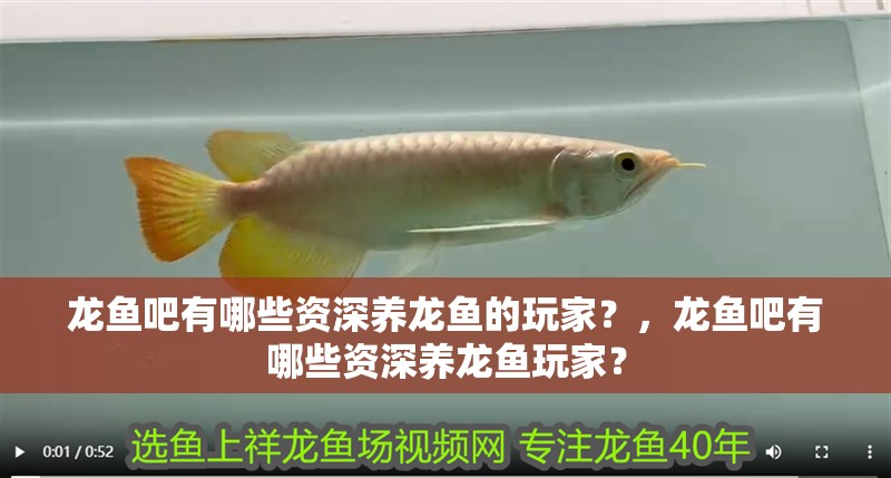 龍魚吧有哪些資深養龍魚的玩家？，龍魚吧有哪些資深養龍魚玩家？