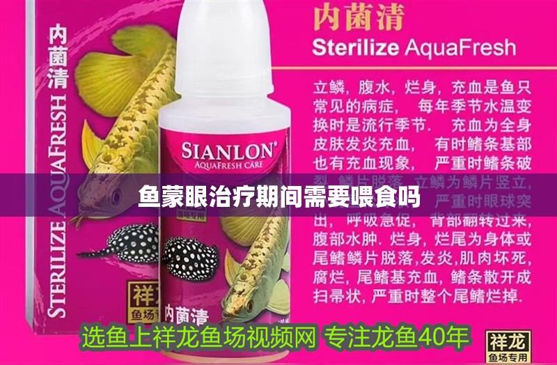 魚蒙眼治療期間需要喂食嗎