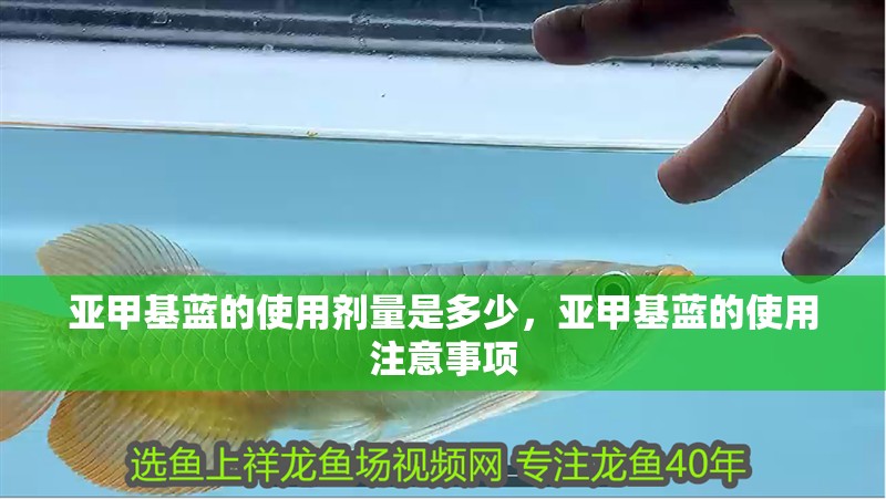 亞甲基藍的使用劑量是多少，亞甲基藍的使用注意事項