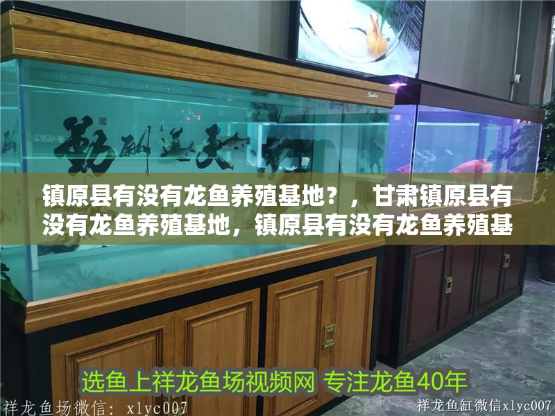鎮原縣有沒有龍魚養殖基地？，甘肅鎮原縣有沒有龍魚養殖基地，鎮原縣有沒有龍魚養殖基地