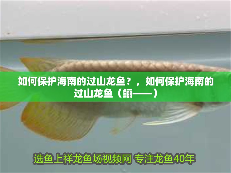 如何保護海南的過山龍魚？，如何保護海南的過山龍魚（鱺——）