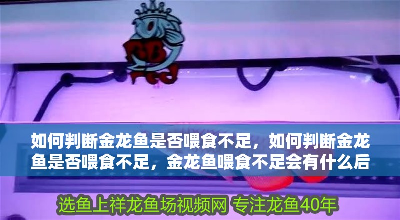 如何判斷金龍魚是否喂食不足，如何判斷金龍魚是否喂食不足，金龍魚喂食不足會有什么后果