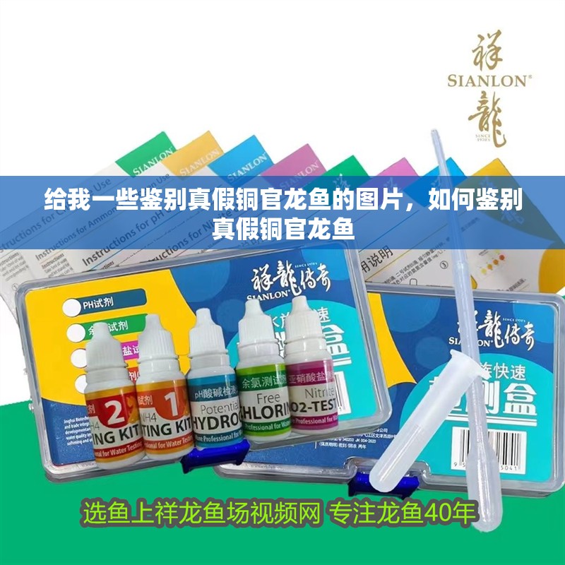 給我一些鑒別真假銅官龍魚的圖片，如何鑒別真假銅官龍魚